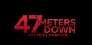 '47 Meters Down' is Getting a Sequel Because... We're Not Sure