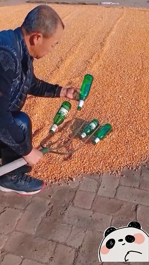 Efficient Corn Spreading Techniques with a Hoe