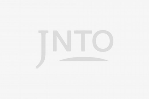 Japan National Tourism Organization (JNTO) Official India Website