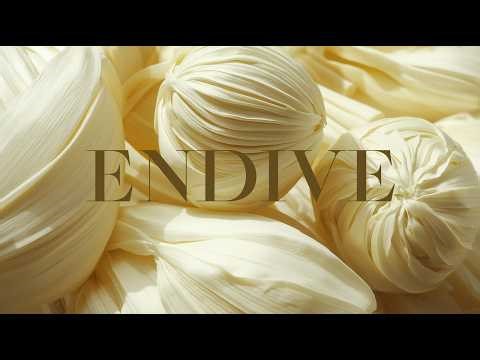 Endive: The Bitter Leaf Humans Learned to Love