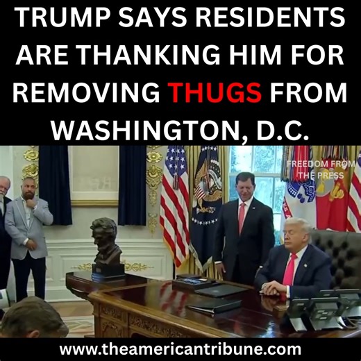 Thank you President Trump🇺🇸🇺🇸🇺🇸 | Freedom From The Press