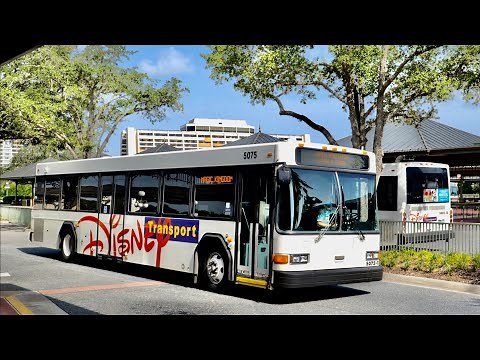 Disney World Bus Ride to Magic Kingdom From Disney's Animal Kingdom in 4K | Disney Transportation