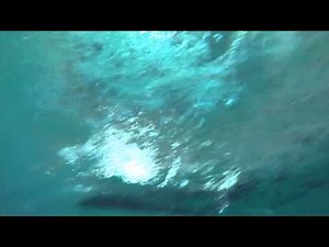 New Wave 105 Infinity at Splashdown Poole