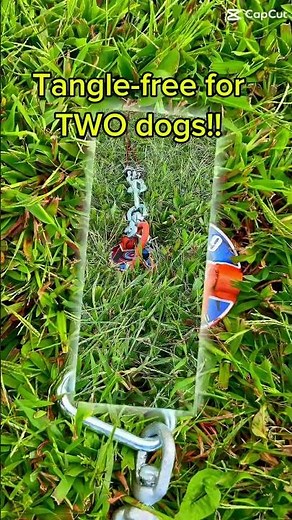 QuicK-9 Tangle-free Two Dog Tie Out! Double Dog Run #dogrun #doglife