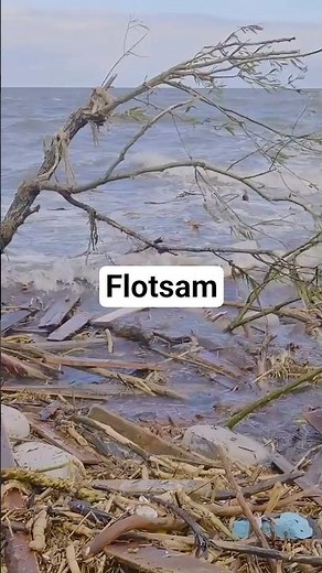 The Story Behind the Word Flotsam
