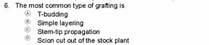 The most common type of grafting is:(A) T-budding(B) Simple ... | Filo