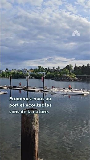 Partez à la découverte du Galloping Goose Regional Trail!