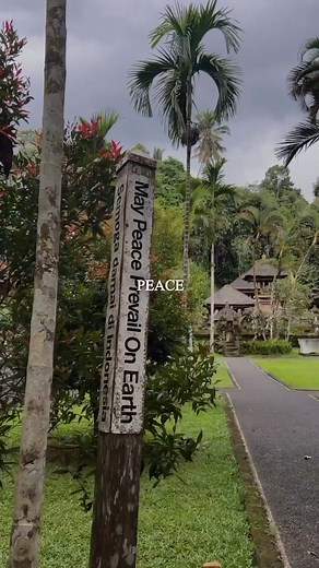 🌿 Maturing is not just about growing older; it's about growing wiser. 📚✨ With each experience, challenge, and triumph, we gain insights that shape our understanding of life. Embrace the journey of maturity with an open heart and a curious mind. Here's to evolving, learning, and becoming the best version of ourselves! 🌱💪 📽️ @rayjason.fit #MaturingWisdom #GrowWiser #JourneyOfMaturity #EvolveEveryDay #LifeLessonsLearned #EmbraceYourGrowth #MatureMindset #InnerStrength #WiserWithAge #EvolvingGr