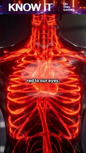 What makes our Blood Red in color?