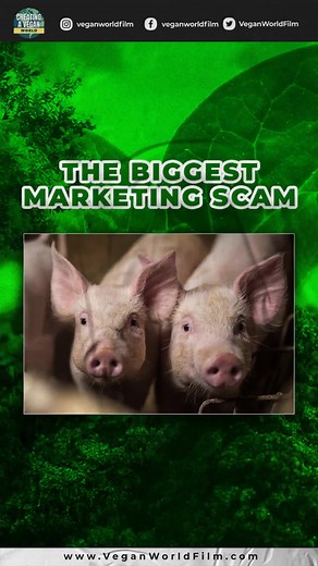 The Horrors of Factory Farming: Pigs Boiled Alive, Gassed, and Shot