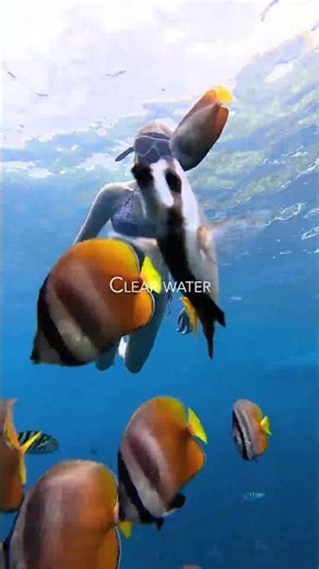 This is NOT your normal Bali day… it’s manta day 😎🌊