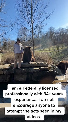 Grizzly Bear Training: First Time Blooper