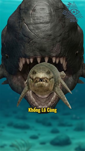 👉 MYSTERY 360 – FROM TINY PREY TO THE ULTIMATE BOSS OF THE DEEP SEA 🔥 WHO WILL SURVIVE? #shorts #...