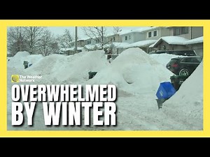 Buried in Snow: Ontario City Overwhelmed by Winter Weather Braces for More