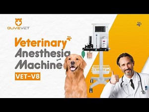 VET-V8 Vet Anesthesia Machine + Ventilator: Turbine Drive + Auto Respiratory Adjust 🐾