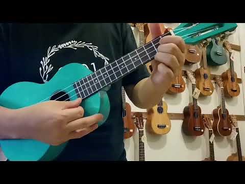 Mahalo Island Series Concert Size Ukulele Linden Wood Body @ukulele101 Malaysia