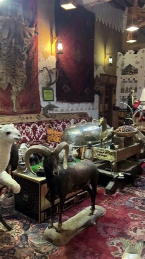 Cottage view in Al Jadi County Side Resort #aljadiresort #shortvideo #shorts #satisfying #trending