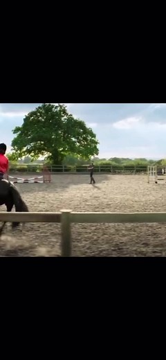 Freerein Zoe vs Raven Horse Riding Dream
