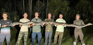 Florida Teenager Catches 100-Pound, 15-Foot Python: “It Turned Into A Wrestling Match”