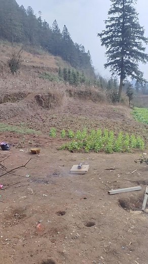 6.5K views · 17 reactions | Most viral Rocket experiment 勞  . . . . #trend #trendingreelsvideo #fun #FunExperiments #funnyvideos #funny #exploremore #experiment #explore #FunExperience #Rockets #rocket | The Explosive Guru | Facebook