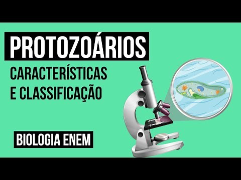 PROTOZOÁRIOS: características e classificação | Biologia para o Enem | Cláudia de Souza Aguiar