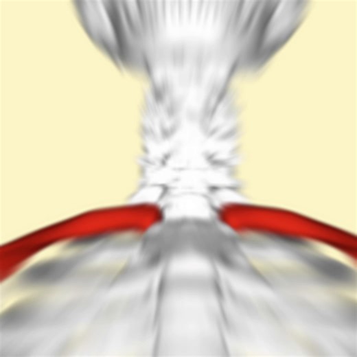 Effective Gym Shoulder Workouts for Wideshoulders