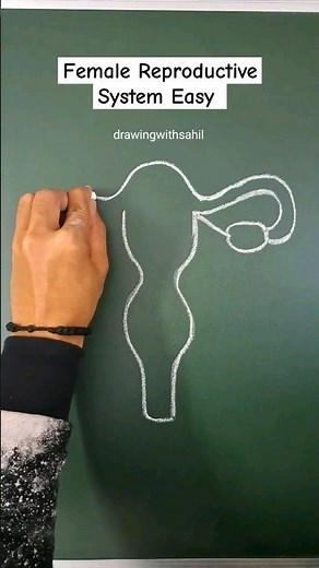 Female reproductive system easy steps #femalereproductivesystem #biology #reproductivesystem #female