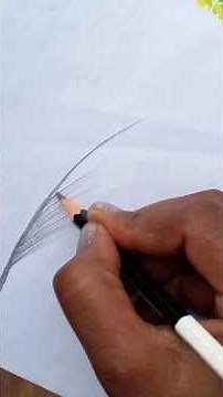 Feather pencil drawing #art #drawing #drawingtutorial #shortvideo
