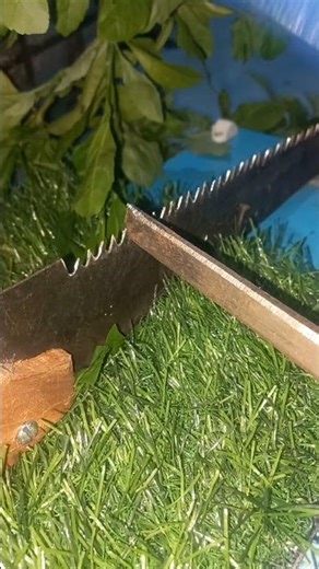 How to Sharpen a Hand Saw FAST (No Power Tools!)