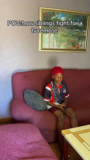 Relatable Sibling Battles Over the TV Remote