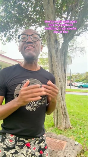 Andre K Isaacs on Instagram: "Alice Ball…. Never forget @radiumyttrium Alice Ball (1892–1916) was a brilliant chemist and Professor at the University of Hawaii who developed the first effective treatment for leprosy while still in her early 20s. Her groundbreaking work was overlooked for years, but today her legacy is rightfully honored as a pioneer in medicine and chemistry. She passed away in her 20s before her work was recognized"