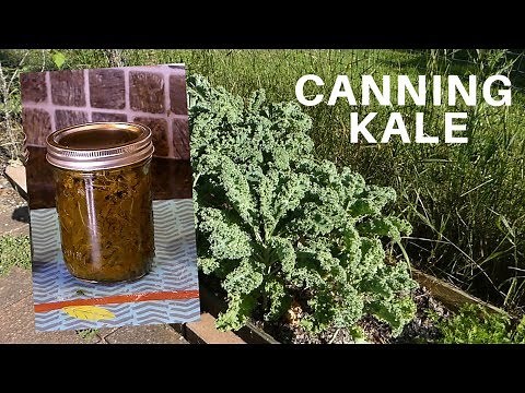 Canning Kale