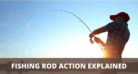 Fishing Rod Action - Sportfishing Buddy