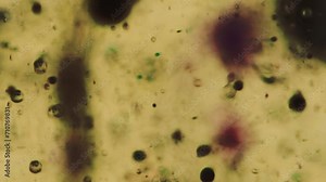 Gel fluid drop. Ink bubble. Serum emulsion texture. Defocused green black color translucent wet paint droplet floating motion art abstract background.