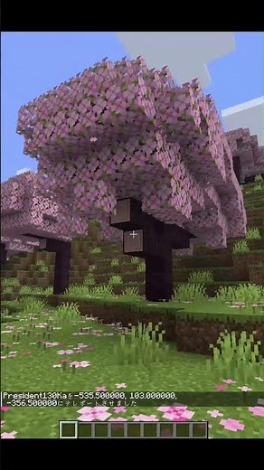 好きなバイオームに行く方法 #minecraft