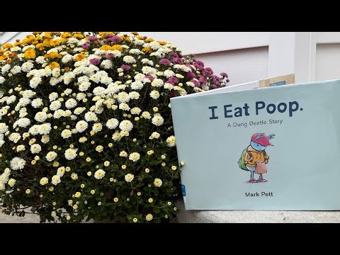 “I Eat Poop (A Dung Beetle Story) Read Aloud