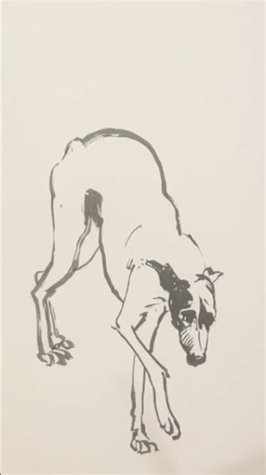 Dog; brush & ink #alisketchmaster #animalart #artprocess