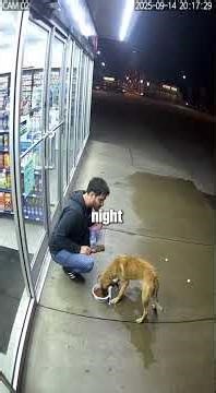 Karen dog owner's plan fails