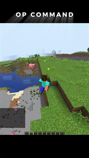 Minecraft Op Command #minecraft