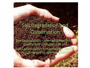 Soil Degradation and Conservation - SlideServe