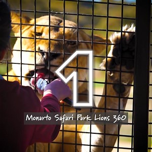 5.4K views · 141 reactions | The Top 10 tours and experiences in SA...