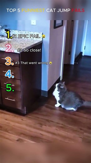 "Cat Fails at Jumping - Hilarious Attempts You Can’t Miss!"