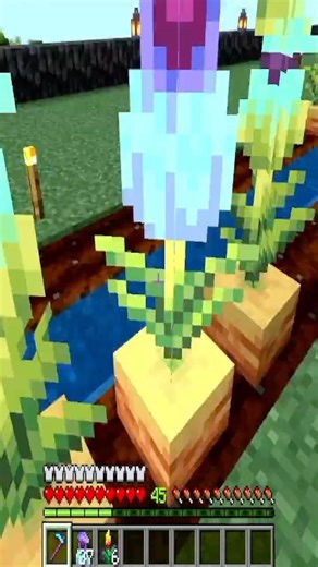 Gether Minecraft 78 - Torch Flower Pitcher Plant