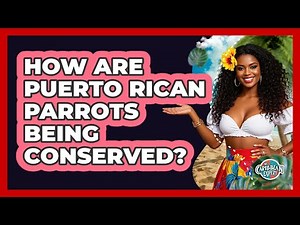 How Are Puerto Rican Parrots Being Conserved?