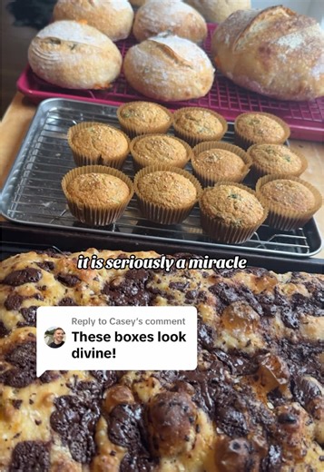 Fun Bread Box Projects for Sourdough Lovers