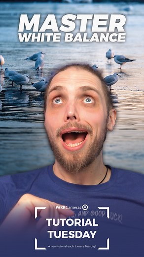 In today’s #tutorial, we’re talking all about White Balance! Check out https://youtu.be/QzHASFcTDOA. | Park Cameras