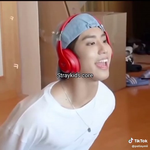Stray Kids Core Moments and Clips Compilation