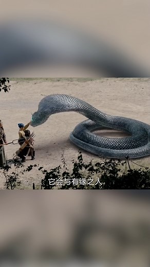 31K views · 575 reactions | The snake spirit regards the little boy as its owner | 影视百分百 | Facebook