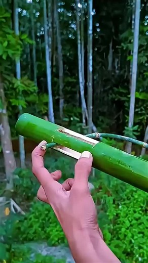 Diy Amazing Tips (@diyamazingtooltips5)’s videos with original sound - Diy Amazing Tips