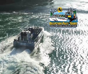 Make your way through the pass aboard the Island Whaler! Tours start at just 37.95. | Deception Pass Tours